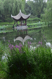 公园风景  