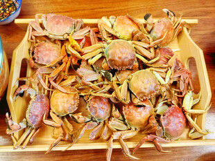 一盘肥美的鲜活螃蟹