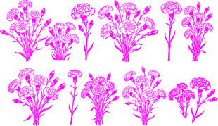 粉色康乃馨花卉植物图案集合