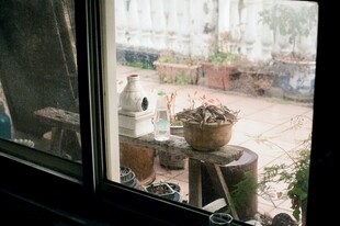 窗边绿植盆栽景致
