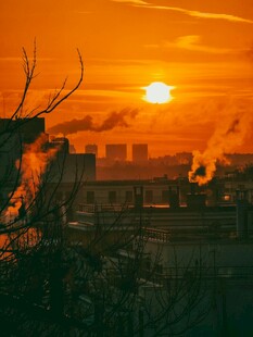 夕阳下的城市与枯树景观
