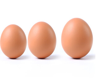鸡蛋