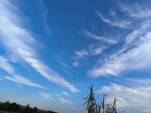 蓝天飘絮云