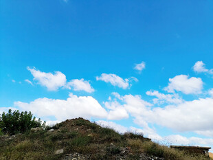 蓝天绿草间的悠然景致