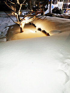 雪夜中被灯光照亮的小径