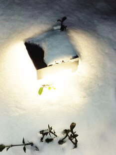 雪地中发光的小屋