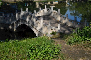 公园风景 
