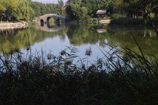 公园风景 
