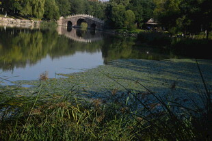 公园风景 