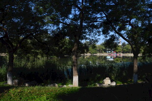 公园风景  