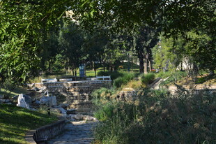 公园风景  