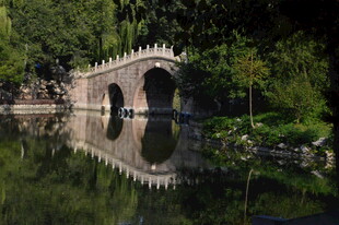 公园风景  