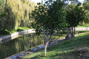公园风景  