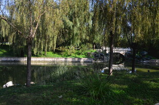 公园风景 