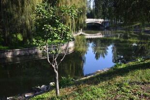 公园风景  