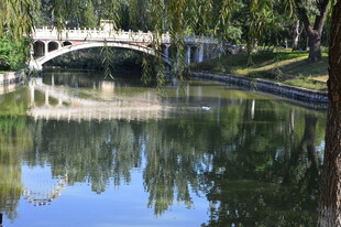 公园风景 