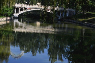 公园风景  