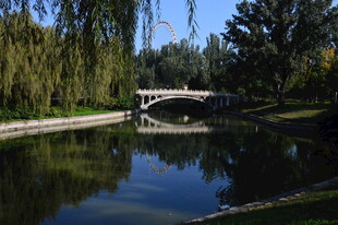 公园风景  