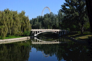 公园风景  