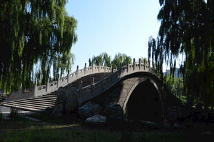 公园风景 
