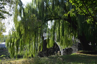 公园风景  
