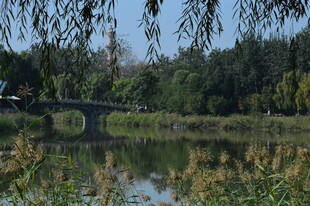 公园风景  