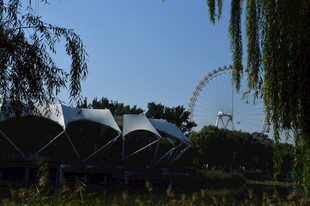 公园风景  