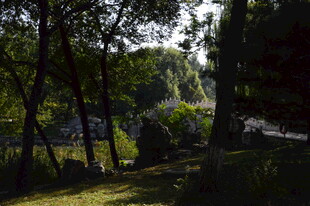 公园风景 