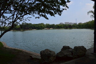 龙潭中湖风景 