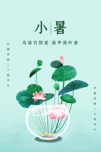 小暑时节荷花玻璃缸景致
