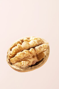 核桃仁