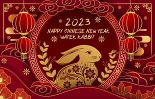 2023兔年喜庆装饰图案