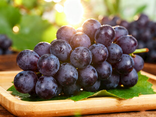 阳光下的紫葡萄