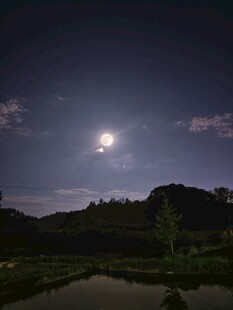 月夜山林