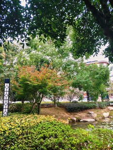园林景致