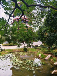 中式园林水景
