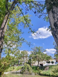 林间河畔美景