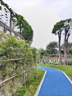 蓝色休闲步道