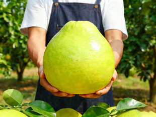 农民手中的大青皮柚子