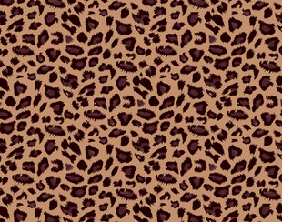 豹纹图案布料纹理