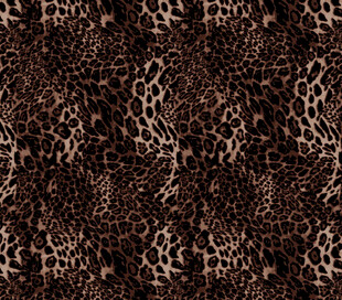 黑白豹纹图案纹理