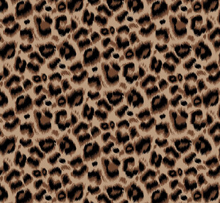 豹纹图案纹理背景