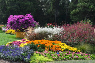 天坛花境风景  