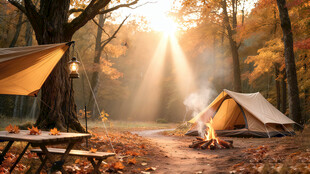 秋日林间露营美好场景