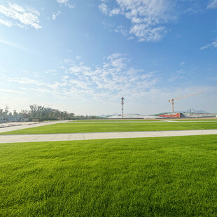 广阔绿草地与远处建筑