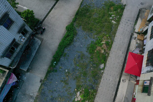 屋顶视角下的绿植与建筑