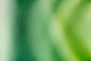 渐变绿色抽象背景纹理