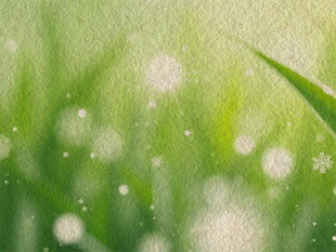 嫩绿草地间的清新