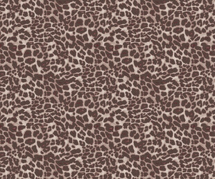 豹纹纹理图案