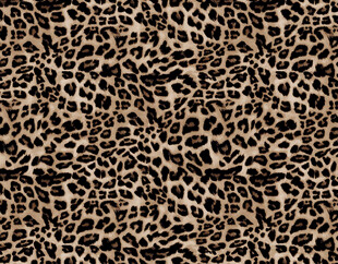 豹纹图案纹理